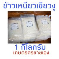 ราคา (ข้าวใหม่) ข้าวเหนียวเขี้ยวงู 1 kg เกษตรกรขายเอง (8323523876)
