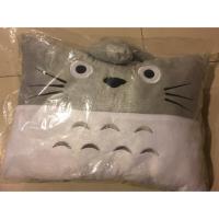 ราคา หมอนโตโตโร่ (totoro) (753093333)