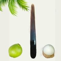 ราคา มีดเขาควาย คว้านมะพร้าว ขนาด 10นิ้ว (2689519280)