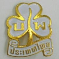 ราคา เข็มติดผ้าพันคอผู้บำเพ็ญประโยชน์ (7049140217)