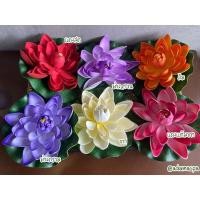 ราคา พร้อมส่ง ดอกบัวโฟมลอยน้ำ (9035284225)