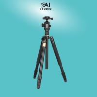 ราคา Qzsd Q222 Aluminum alloy tripod ball head for camera and smartphone (10621645989)