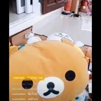 ราคา หมอนคุมะใหญ่ๆๆ59บาทจร้า (6335791974)