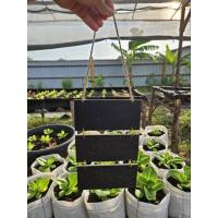 ราคา กระดานดำไม้แบบแขวน1ชุด2ป้าย1ชุด3ป้าย (23047559090)