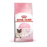 ราคา Royal canin mother&babycat 4kg (18084545035)