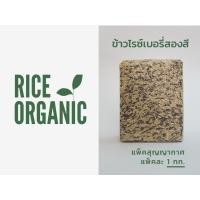 ราคา ข้าวไรซ์เบอรี่สองสี ข้าวปลอดสารพิษ ข้าวใหม่ (5217536747)