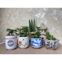 ราคา กระถางต้นไม้ เซรามิกญี่ปุ่น กระถางแคคตัส กระถางบอนไซ Stock B (9512729057)