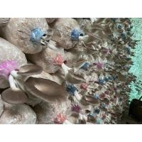 ราคา เห็ดนางฟ้า สด ๆ เก็บเสร็จส่งทันที ไม่มีค้างคืน (19327095843)