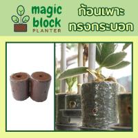ราคา Magicblock ก้อนเพาะปลูกมหัศจรรย์ทรงกระบอก (4933677611)