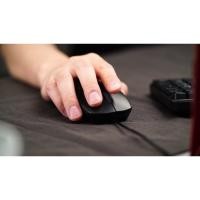 ราคา เมาส์ USB Optical Mouse RAPOO N100 Black รับประกันศูนย์ไทย 2 ปี (12595625047)