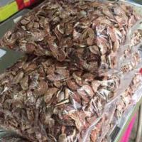 ราคา ilu✙﹍1 กิโล หมากแห้ง หมากแห้งซอย หมากพลูถวายพระ (10874752626)