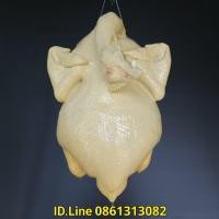 ราคา ไก่ปลอม ขนาด 4 โล แบบขาว ตัวละ 965 บ. กว้าง 21 ยาว 30 cm ไก่เรซิ่น ไก่ต้มปลอม โมเดลไก่ ไก่เทียม ไก่จำลอง ไก่ตอนปลอม ไก่ (2844182904)