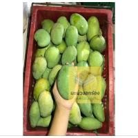 ราคา มะม่วงอกร่องโบราณสุพรรณบุรี (ข้าวเหนียวมะม่วง) (16630926325)