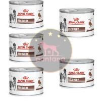 ราคา <ราคาพิเศษ>(5 กระป๋อง)Royal Canin Recovery อาหารสัตว์ป่วยพักฟื้น 195 กรัม. (5 กระป๋อง) (3589927045)