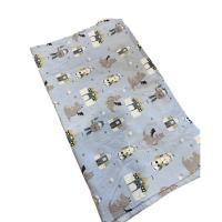 ราคา ผ้าห่ม หมอน และหมอนข้าง (มือสองสภาพ 80%) (18002527785)