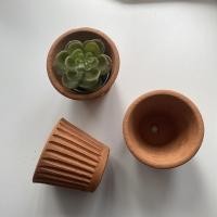 ราคา กระถางต้นไม้ดินเผาขนาดเล็ก (6245980624)