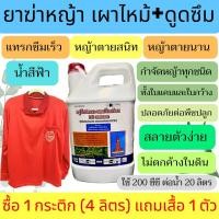 ราคา กลูโฟซิเนต กลูโฟซิเนตแอมโมเนียม 4 ลิตร ยาฆ่าหญ้า กำจัดหญ้าทุกชนิดไม่เลือกทำลาย ดูดซึมเผาไหม้ (5592708706)