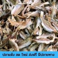 ราคา ปลาจวดตัดหัว 1 ถุง ปลาจวด ปลาจวดเค็ม ปลาจวดแดดเดียว ปลาเค็ม อาหารทะเล อาหารทะเลตากแห้ง อาหารทะเลแห้ง อาหารทะเลแปรรูป (16212219475)