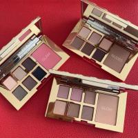ราคา Estee Lauder Pure Color Envy Eye and Cheek Palette (7872280577)