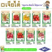 ราคา เจียไต๋ ผักซอง เมล็ดพันธุ์ผัก(ผักสายพันธุ์ลูกผสม)มะเขือเทศสวีทปริ้นเซส มะเขือเทศเชอร์รี่สวิทเกิร์ล มะเขือเทศเชอร์สวิทบอย (8571469741)