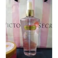 ราคา Body Mist Victoria'Secret กลิ่น Sheer Love (106537621)