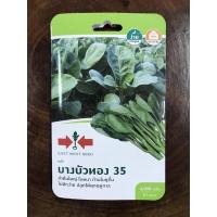 ราคา เมล็ดผัก คะน้า บางบัวทอง 35 ตราศรแดง 4000 เมล็ด (10015335029)