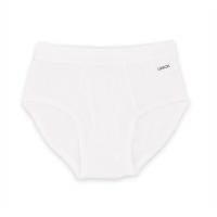 ราคา กางเกงในเด็กชาย Carson Kids Cotton organic แพ็ค 3 ตัว (14196226190)
