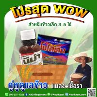 ราคา ชุดกำจัดแมลง เชื้อราช่วงข้าวเล็ก3-5ไร่ ป้องกันและกำจัดโรคข้าวกาบใบแห้ง ข้าวใบด่าง เพลี้ยอ่อน เพลี้ยไฟ เพลี้ยหอย คูลเกษตร (19052910351)