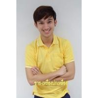 ราคา เสื้อโปโล สีเหลือง ชาย (4543227057)