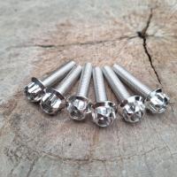 ราคา น็อตจับโช๊คหน้า น็อตยึดแผงคอ 6ตัว Sonic Nova Tena Dash ห้วเฟืองเลสแท้ (22955140996)