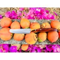 ราคา มีดปอกผลไม้ มีดปอก มีดปอกผัก มีดปอกผลไม้ มีด มีดหั่นหอม มีดปอกหอม มีดปอกกระเทียม มีดหั่นหมาก (11100214378)