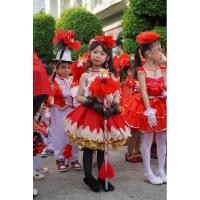 ราคา ชุดดรัมเมเยอร์สีแดง 120cm พร้อมไม้ดรัมเมเยอร์ แถมแฮร์พีท! (21595586882)