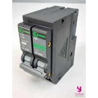 ราคา YOJI ONLINE เบรกเกอร์ เซอร์กิตเบรกเกอร์ เมนเบรกเกอร์ 2P ช้าง เบรคเกอร์ เมนเบรคเกอร์ (9821036715)