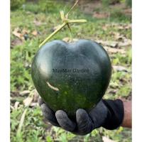 ราคา แตงโมรูปหัวใจ ผลไม้ทรงหัวใจ ของฝากสุดพรีเมี่ยม ของขวัญ เก็บสดจากสวน (19690814353)