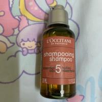 ราคา ยาสระผม l'occitaneสูตรชุ่มชื้น (2289752242)