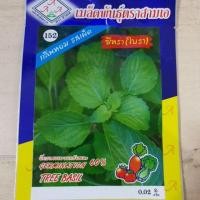 ราคา เมล็ดพันธุ์ ผัก ใบยี่หร่า ใบรา tree basil (2790974063)