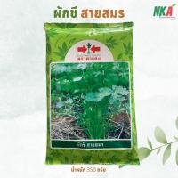 ราคา เมล็ดผักชี สายสมร 350 กรัม ตราศรแดง (20741581081)