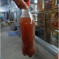 ราคา จุลินทรีย์ไข่ ฮอร์โมนไข่ น้ำเชื้อ น้ำเชื้อ ฉีดต้นไม้ทุกชนิด 1.5 ลิตร (8544311900)