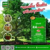 ราคา ปุ๋ยอินทรีย์ ซีพีหมอดิน แบบผง และอัดเม็ด (9047624701)