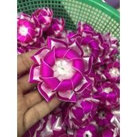 ราคา เหรียญโปรยทานตัวเปล่าดอกบัว (13651834510)