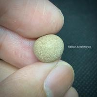 ราคา ลูกอมหลวงพ่อสงวน วัดไผ่พันมือ (22268535572)