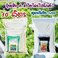 ราคา ชุดคู่ปุ๋ยเอบีแห้ง AB เอบี(แบบผง)น้ํานิ่งน้ำวน ปุ๋ยผักHydroponics ปุ๋ยสารละลายเอบี *ขนาดผสมน้ำ 10ลิตร* แถมคู่มือ งอกดี (24903942203)