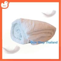 ราคา ไส้ผ้านวมโรงแรม กันไรฝุ่น รุ่นใยหนานุ่มแน่น 250 g/ตร.ม. ขนห่านเทียม กันไรฝุ่น กันเชื้อรา มีเชือก 8 จุด It6c (4888066812)