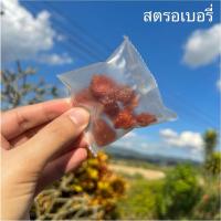 ราคา สตรอเบอรี่อบแห้งmini1ซอง สตอเบอรี่ ผลไม้ อบแห้ง minimal สตอเบอร์รี่ (15831594199)