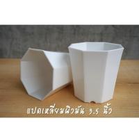 ราคา กระถางพลาสติก 8 เหลี่ยมสีขาว 3.5 นิ้ว สไตล์มินิมอล กระถางแคคตัส กระถางต้นไม้จิ่ว (5139009662)