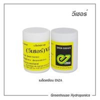 ราคา เมล็ดพันธุ์ผักสลัดกรีนโอ๊ค วีเซอร์ (Green Oak Vizir) ชนิดเคลือบ 1000 เมล็ด ยี่ห้อ Enza Zad (16839411902)