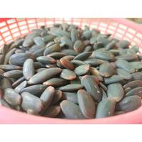 ราคา ลูกเหรียง เม็ดเหรียงทางภาคใต้ เม็ดเหรียงใหม่ของปี 2566 เม็ดเหรียงป่าสุราษฎร์ธานี (22035270554)