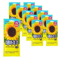 ราคา ขายดีที่สุด Lotte ช็อกโกแลตบอล ดอกทานตะวัน 30 กรัม / ผลิตในเกาหลี (22907412831)