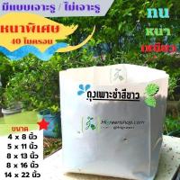 ราคา ถุงเพาะชำสีขาว ขนาด 8x13 นิ้ว 30 กก. ไม่เจาะรู /กระสอบ (24900324529)
