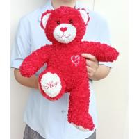 ราคา ตุ๊กตาหมีบิ้วอะแบร์ งานรุ่นเก่า Build A Bear Fuzzy Red Valentine Teddy Hugs & Kisses ขนาด 17 นิ้ว (22321788257)